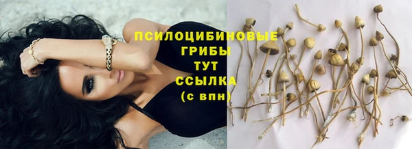 PSILOCYBIN Абаза