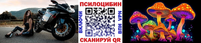 Галлюциногенные грибы MAGIC MUSHROOMS дарк нет состав Руза наркота
